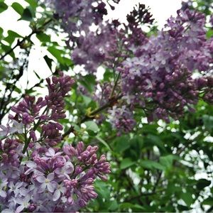 Meet your Posher, Kaitlin